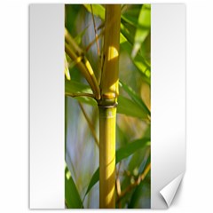 Bamboo Canvas 36  x 48  (Unframed)