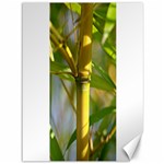 Bamboo Canvas 36  x 48  (Unframed) 35.26 x46.15  Canvas - 1