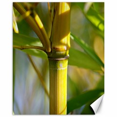 Bamboo Canvas 11  X 14  (unframed) by Siebenhuehner