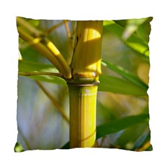 Bamboo Cushion Case (two Sided)  by Siebenhuehner