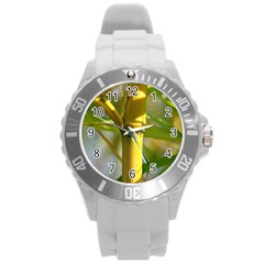 Bamboo Plastic Sport Watch (large) by Siebenhuehner