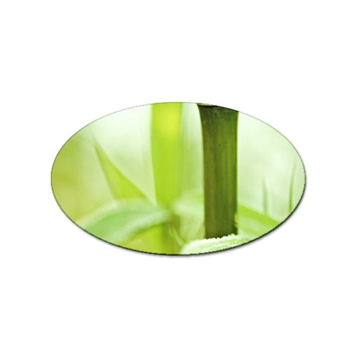 Bamboo Sticker (Oval)