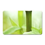 Bamboo Magnet (Rectangular) Front