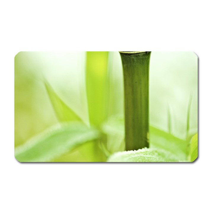 Bamboo Magnet (Rectangular)