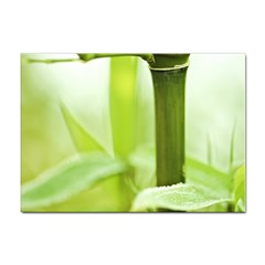 Bamboo A4 Sticker 100 Pack by Siebenhuehner