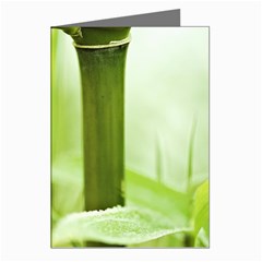 Bamboo Greeting Card (8 Pack) by Siebenhuehner