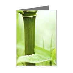 Bamboo Mini Greeting Card by Siebenhuehner