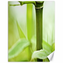 Bamboo Canvas 18  X 24  (unframed) by Siebenhuehner