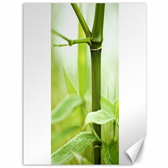 Bamboo Canvas 36  X 48  (unframed) by Siebenhuehner