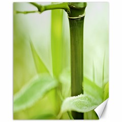 Bamboo Canvas 11  X 14  (unframed) by Siebenhuehner