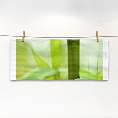 Bamboo Hand Towel by Siebenhuehner