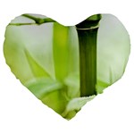 Bamboo 19  Premium Heart Shape Cushion Front