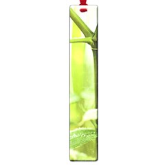 Bamboo Large Bookmark by Siebenhuehner