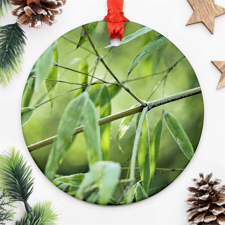 Bamboo Round Ornament