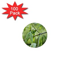 Bamboo 1  Mini Button (100 Pack) by Siebenhuehner