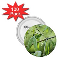 Bamboo 1 75  Button (100 Pack) by Siebenhuehner