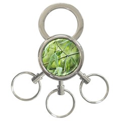 Bamboo 3-ring Key Chain by Siebenhuehner