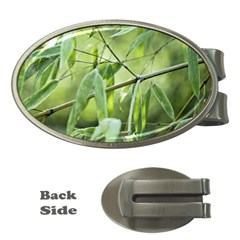 Bamboo Money Clip (oval) by Siebenhuehner