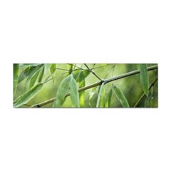 Bamboo Bumper Sticker 10 Pack by Siebenhuehner