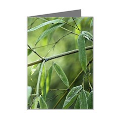 Bamboo Mini Greeting Card by Siebenhuehner