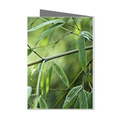 Bamboo Mini Greeting Card (8 Pack) by Siebenhuehner