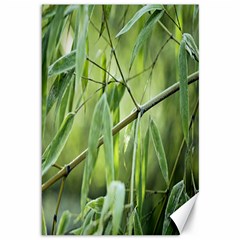 Bamboo Canvas 12  X 18  (unframed) by Siebenhuehner