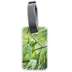 Bamboo Luggage Tag (two Sides) by Siebenhuehner