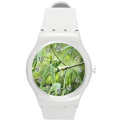 Bamboo Plastic Sport Watch (medium) by Siebenhuehner