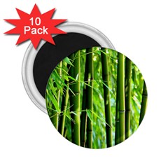 Bamboo 2 25  Button Magnet (10 Pack) by Siebenhuehner