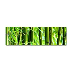 Bamboo Bumper Sticker 10 Pack by Siebenhuehner