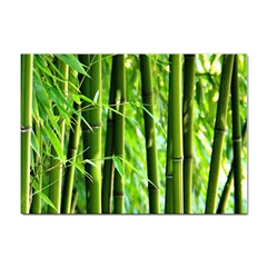 Bamboo A4 Sticker 100 Pack by Siebenhuehner