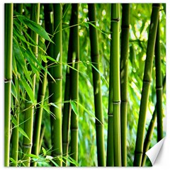 Bamboo Canvas 12  X 12  (unframed) by Siebenhuehner