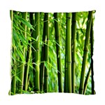 Bamboo Cushion Case (Two Sided)  Back