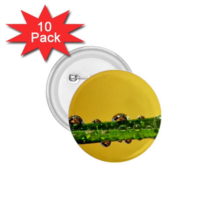 Drops 1.75  Button (10 pack)