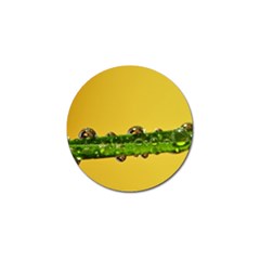 Drops Golf Ball Marker 4 Pack by Siebenhuehner