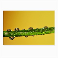 Drops Postcards 5  X 7  (10 Pack) by Siebenhuehner