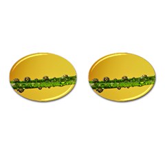 Drops Cufflinks (Oval)