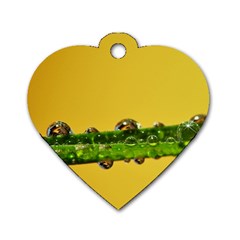 Drops Dog Tag Heart (one Sided)  by Siebenhuehner