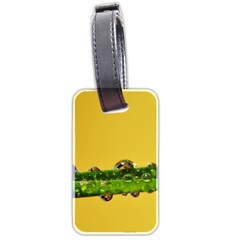 Drops Luggage Tag (Two Sides)