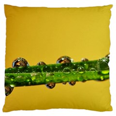 Drops Large Cushion Case (single Sided)  by Siebenhuehner