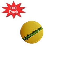 Drops 1  Mini Button Magnet (100 Pack) by Siebenhuehner