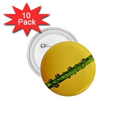 Drops 1 75  Button (10 Pack) by Siebenhuehner