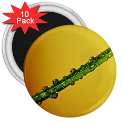 Drops 3  Button Magnet (10 Pack) by Siebenhuehner