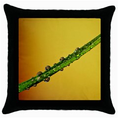 Drops Black Throw Pillow Case by Siebenhuehner