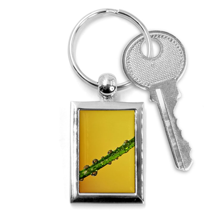 Drops Key Chain (Rectangle)