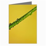 Drops Greeting Card (8 Pack) Left