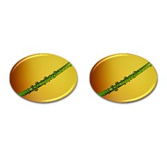 Drops Cufflinks (oval) by Siebenhuehner