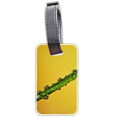 Drops Luggage Tag (two Sides) by Siebenhuehner