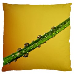 Drops Large Cushion Case (single Sided)  by Siebenhuehner