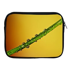 Drops Apple Ipad Zippered Sleeve by Siebenhuehner